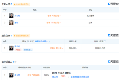 高云翔與董璇聯手清算旗下公司，文化藝術經紀業務面臨轉型