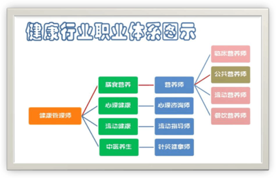 健康管理師與營養師的核心區別及營養健康管理指南